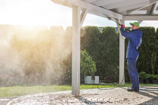 Best Spring Cleaning  in Bellevue, IA
