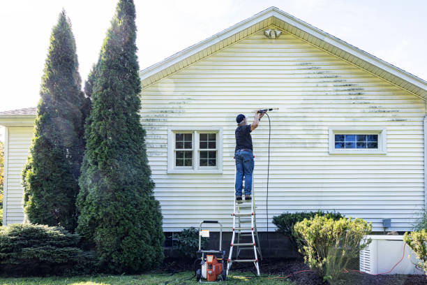 Best Fence Cleaning  in Bellevue, IA
