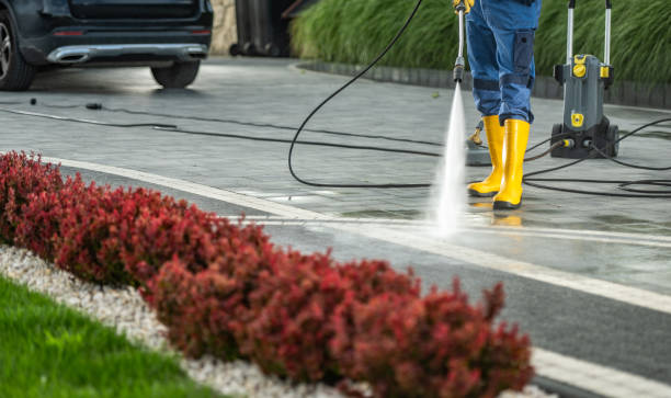 Best Gutter Cleaning  in Bellevue, IA